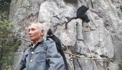广西新团黑叶猴自然保护小区
